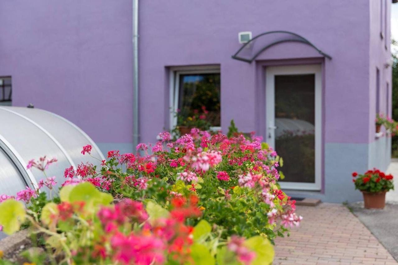 דירות Holtzwihr Les Jardins De Lo'Re'An מראה חיצוני תמונה