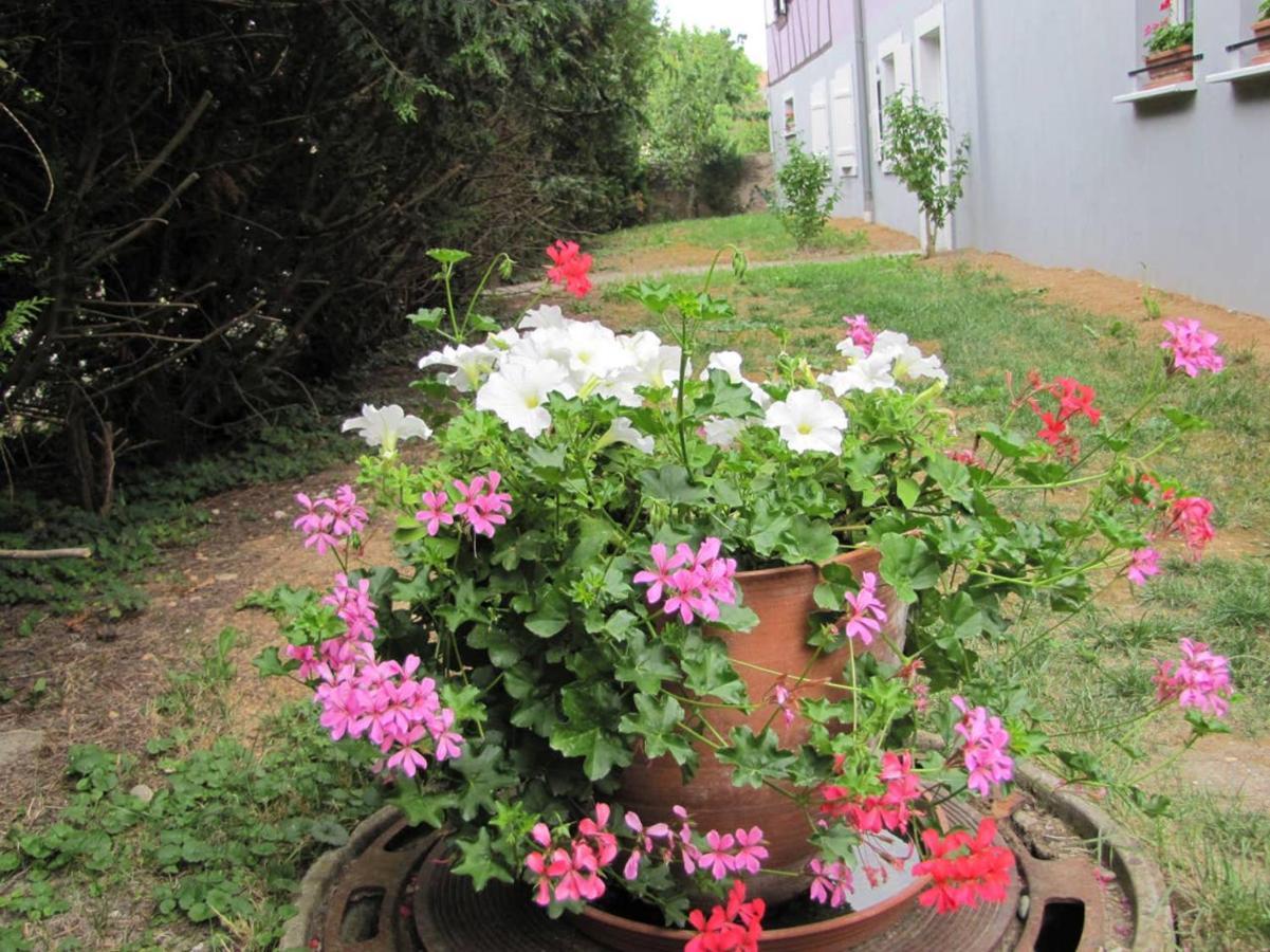 דירות Holtzwihr Les Jardins De Lo'Re'An מראה חיצוני תמונה